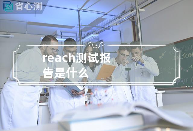 reach测试报告是什么