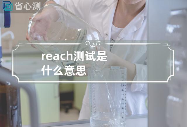 reach测试是什么意思