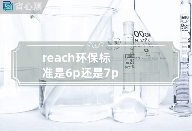 reach环保标准是6p还是7p