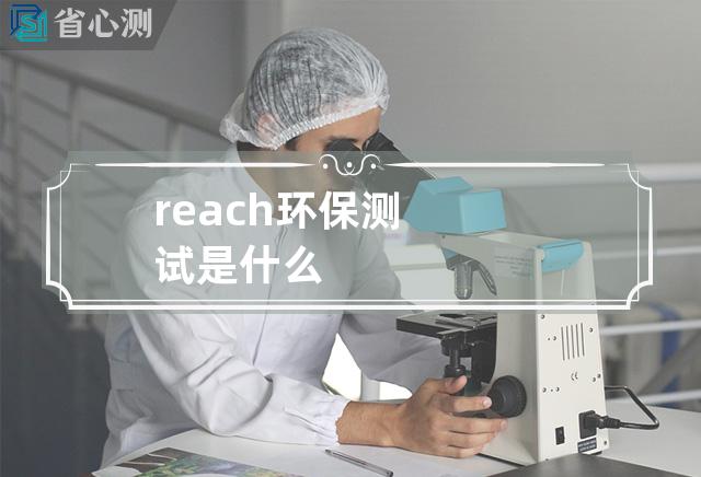 reach环保测试是什么