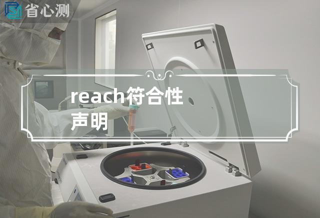 reach符合性声明