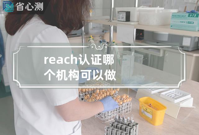 reach认证哪个机构可以做