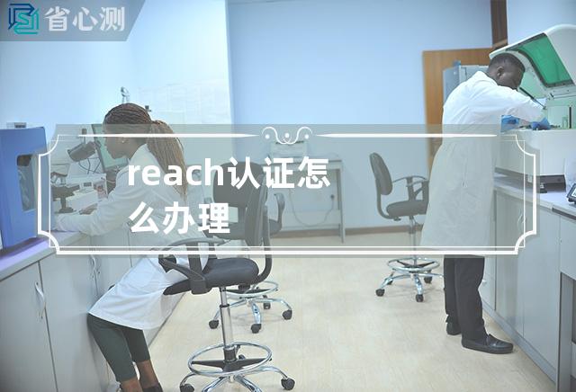 reach认证怎么办理