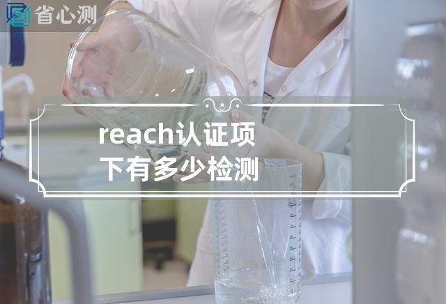 reach认证项下有多少检测