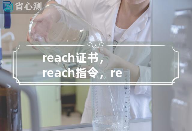 reach证书，reach指令，reach的意思