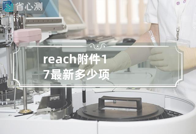 reach附件17最新多少项