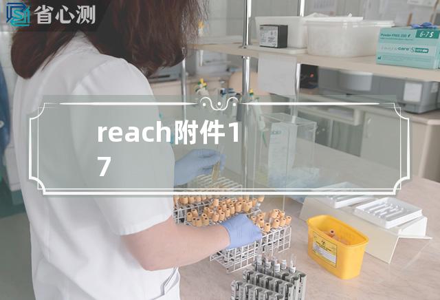 reach附件17