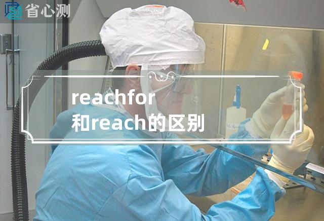 reach for和reach的区别