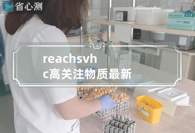 reach svhc高关注物质最新