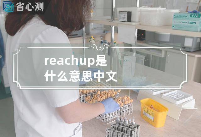 reach up是什么意思中文