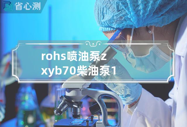 rohs喷油泵zxyb 70柴油泵1