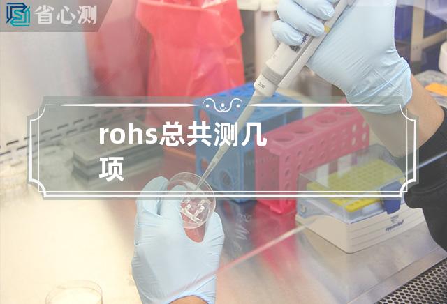 rohs总共测几项