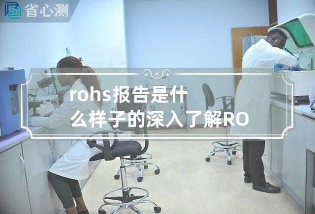 rohs报告是什么样子的 深入了解ROHS报告的样式和要求